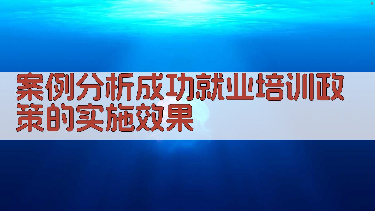 案例分析成功就业培训政策的实施效果 图2