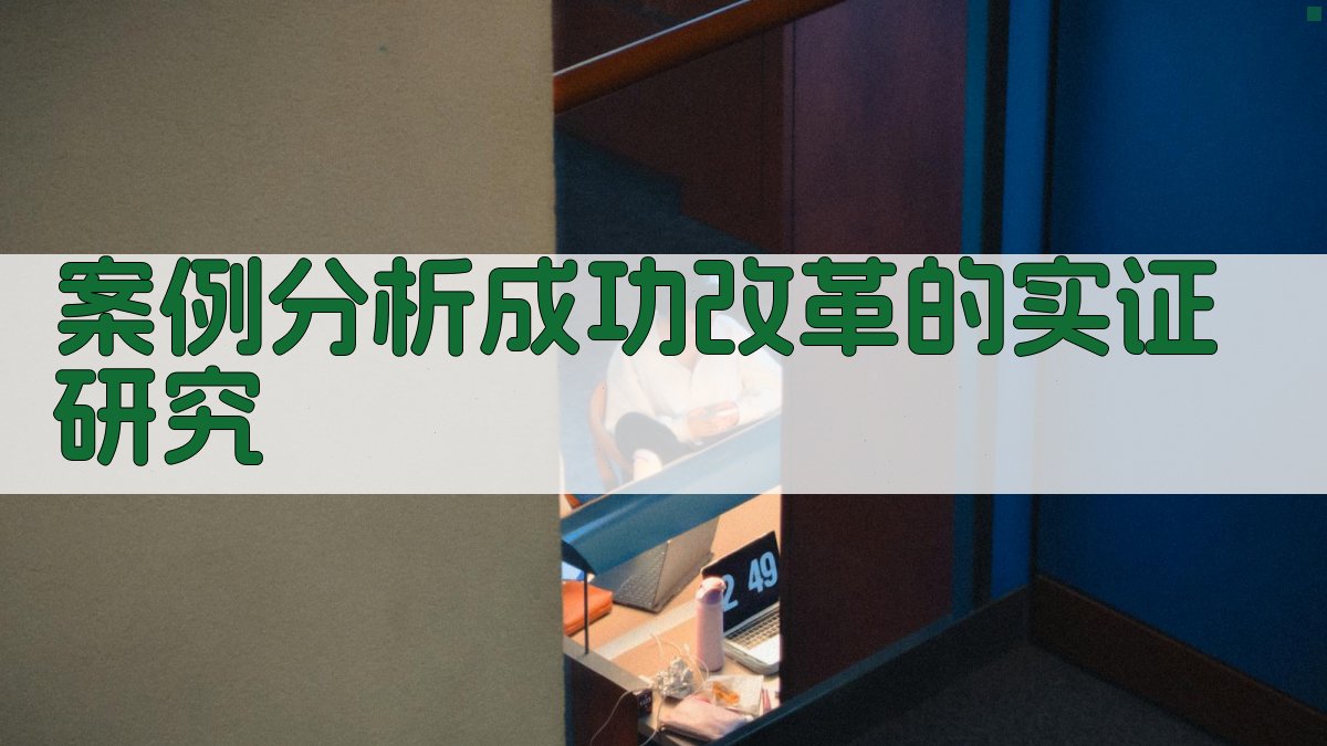 案例分析成功改革的实证研究 图2