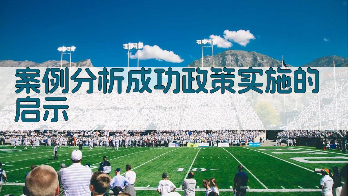 案例分析成功政策实施的启示 图2