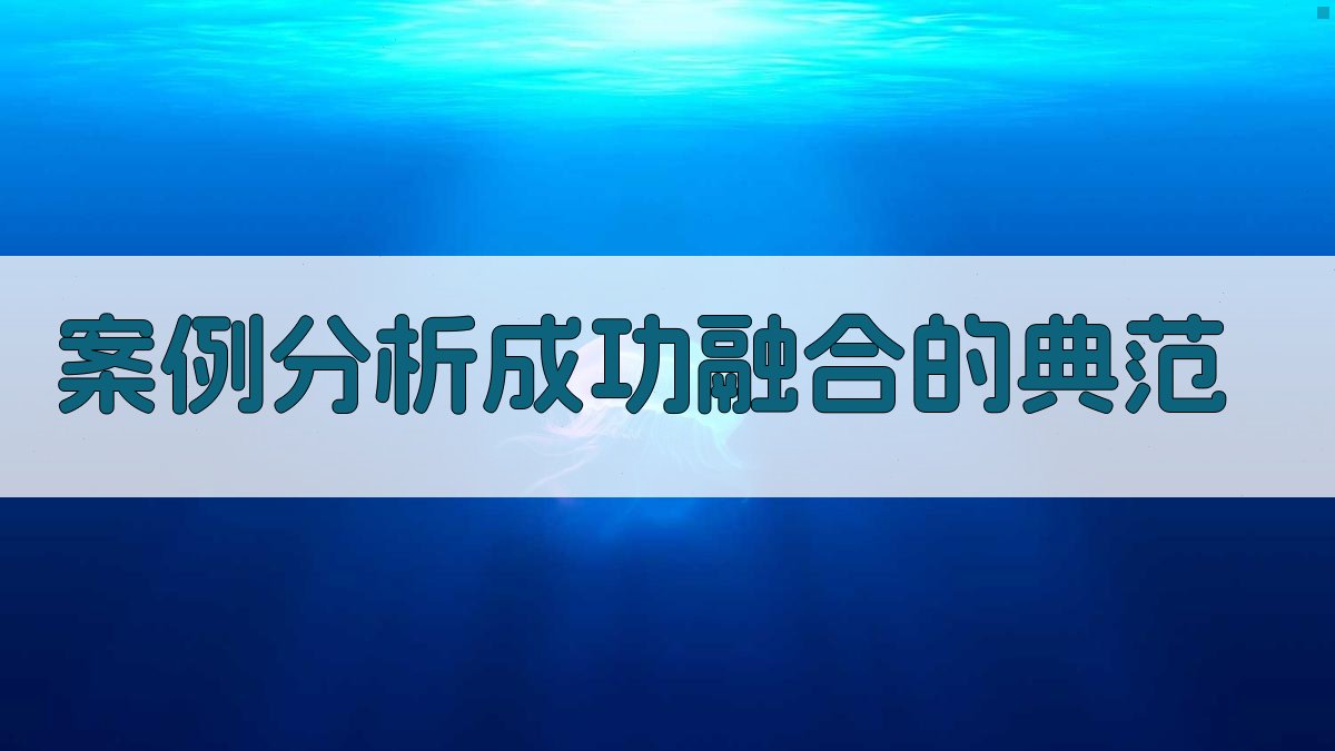 案例分析成功融合的典范 图3