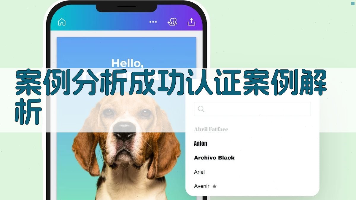 案例分析成功认证案例解析 图4