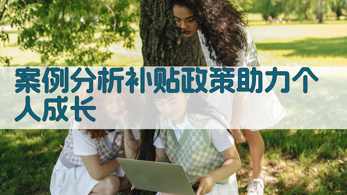 案例分析补贴政策助力个人成长 图2