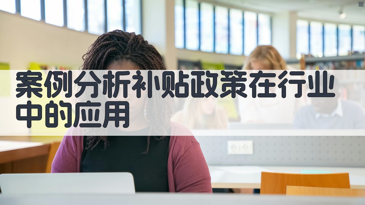 案例分析补贴政策在行业中的应用 图2