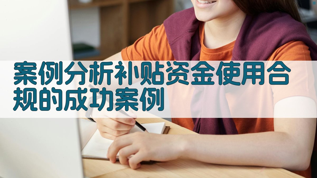 案例分析补贴资金使用合规的成功案例 图3