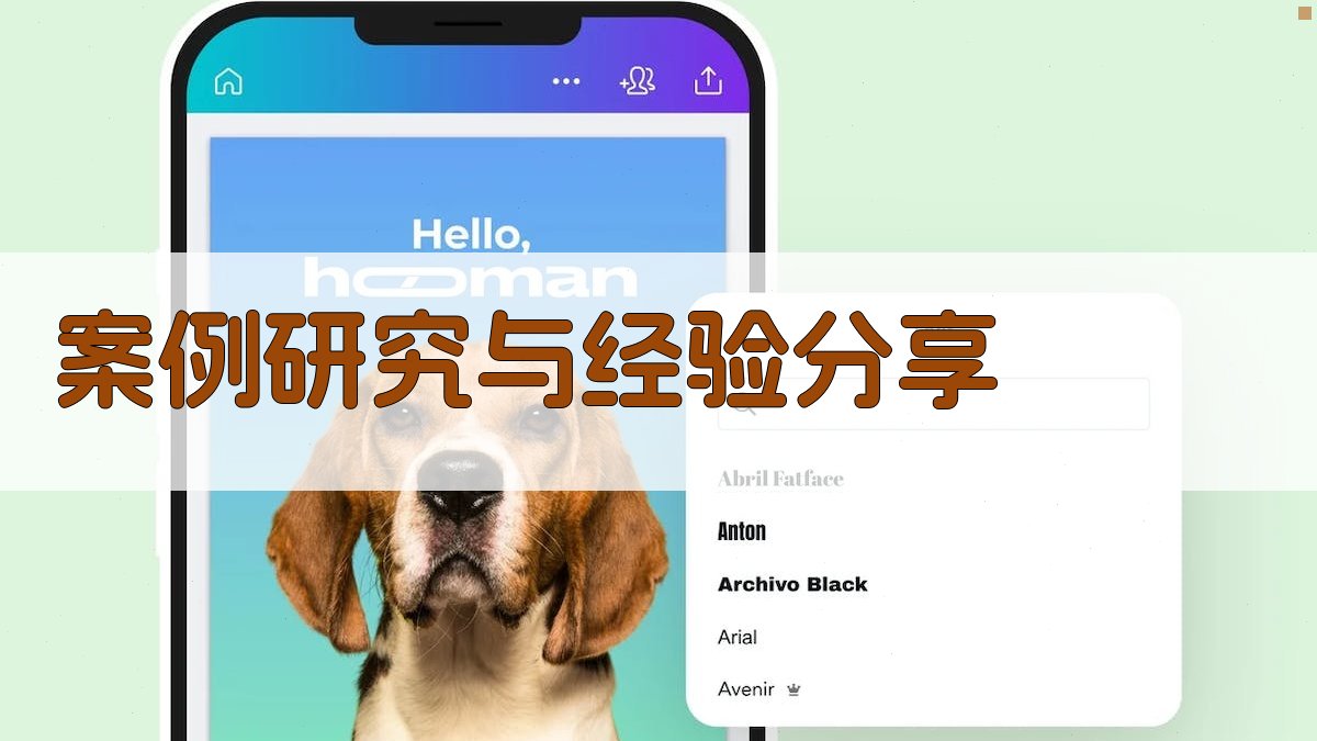 案例研究与经验分享 图3