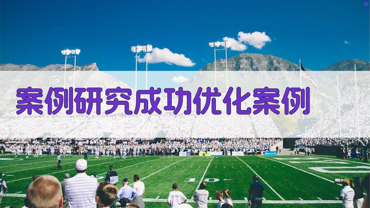 案例研究成功优化案例 图4
