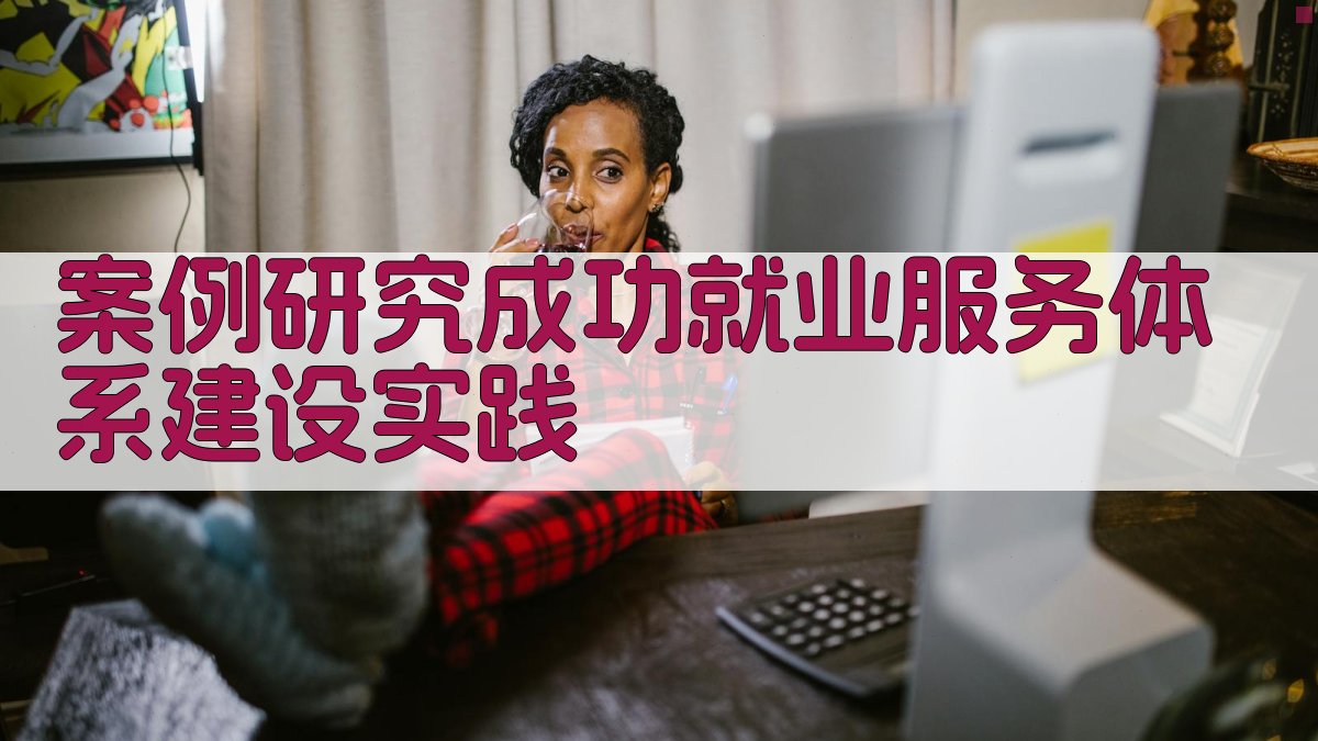 案例研究成功就业服务体系建设实践 图3