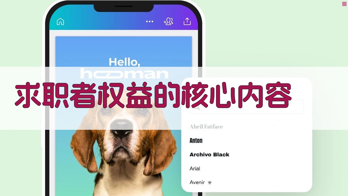 求职者权益的核心内容 图2
