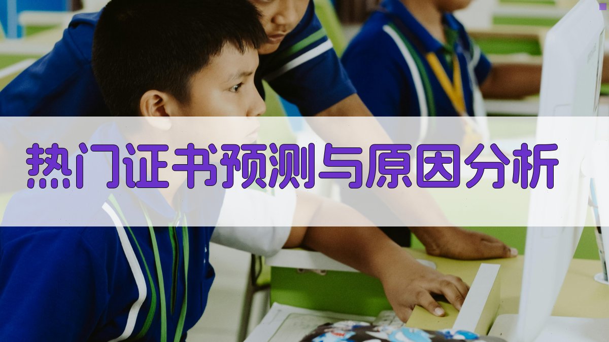 热门证书预测与原因分析 图3