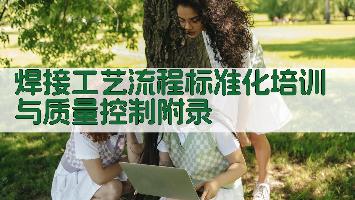 焊接工艺流程标准化培训与质量控制 · 附录 图5