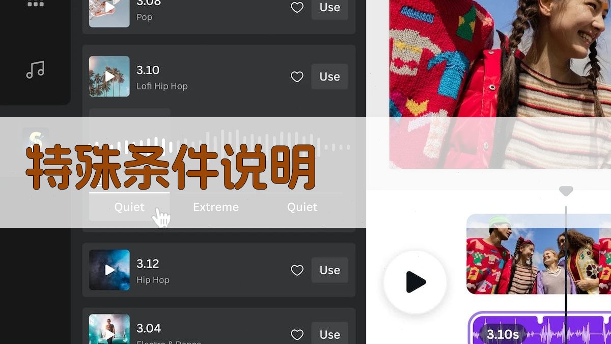 特殊条件说明 图4