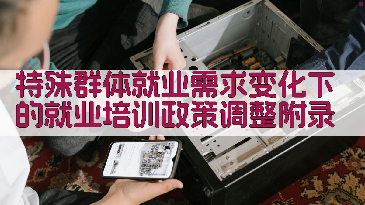 特殊群体就业需求变化下的就业培训政策调整 · 附录 图5