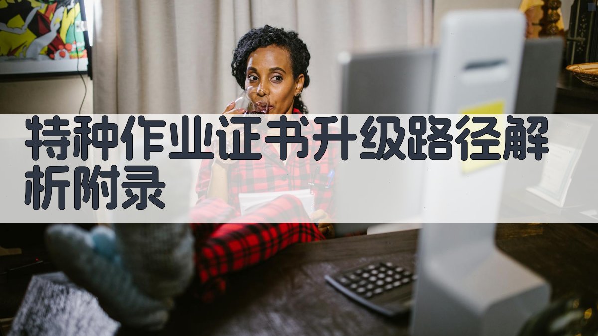 特种作业证书升级路径解析 · 附录 图2