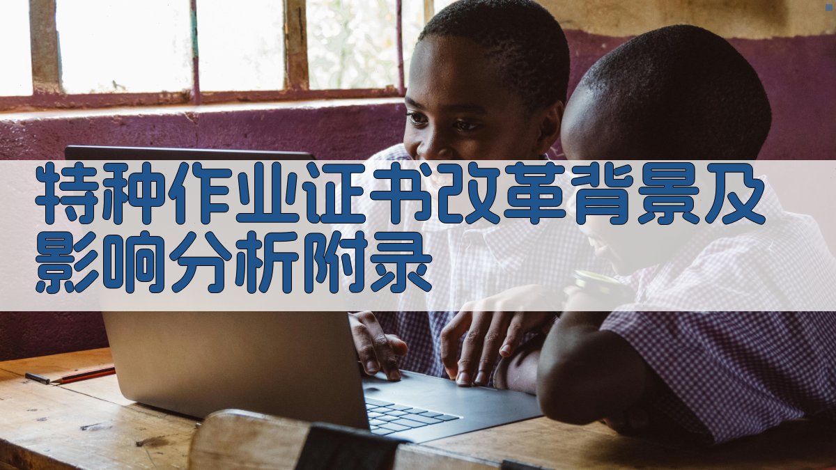 特种作业证书改革背景及影响分析 · 附录 图3