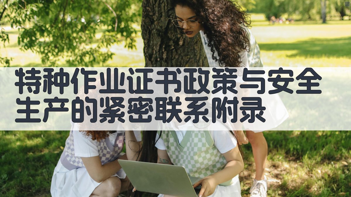 特种作业证书政策与安全生产的紧密联系 · 附录 图4