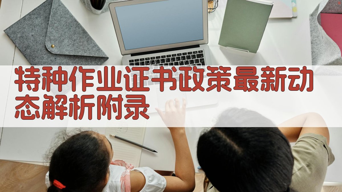 特种作业证书政策最新动态解析 · 附录 图3