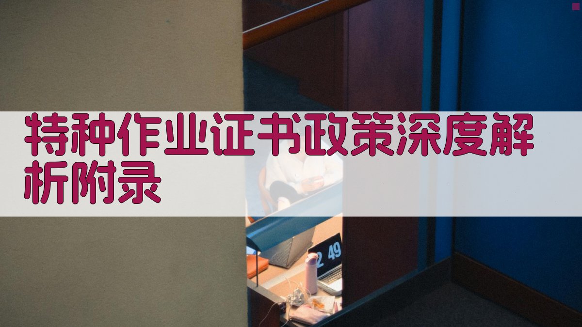 特种作业证书政策深度解析 · 附录 图5