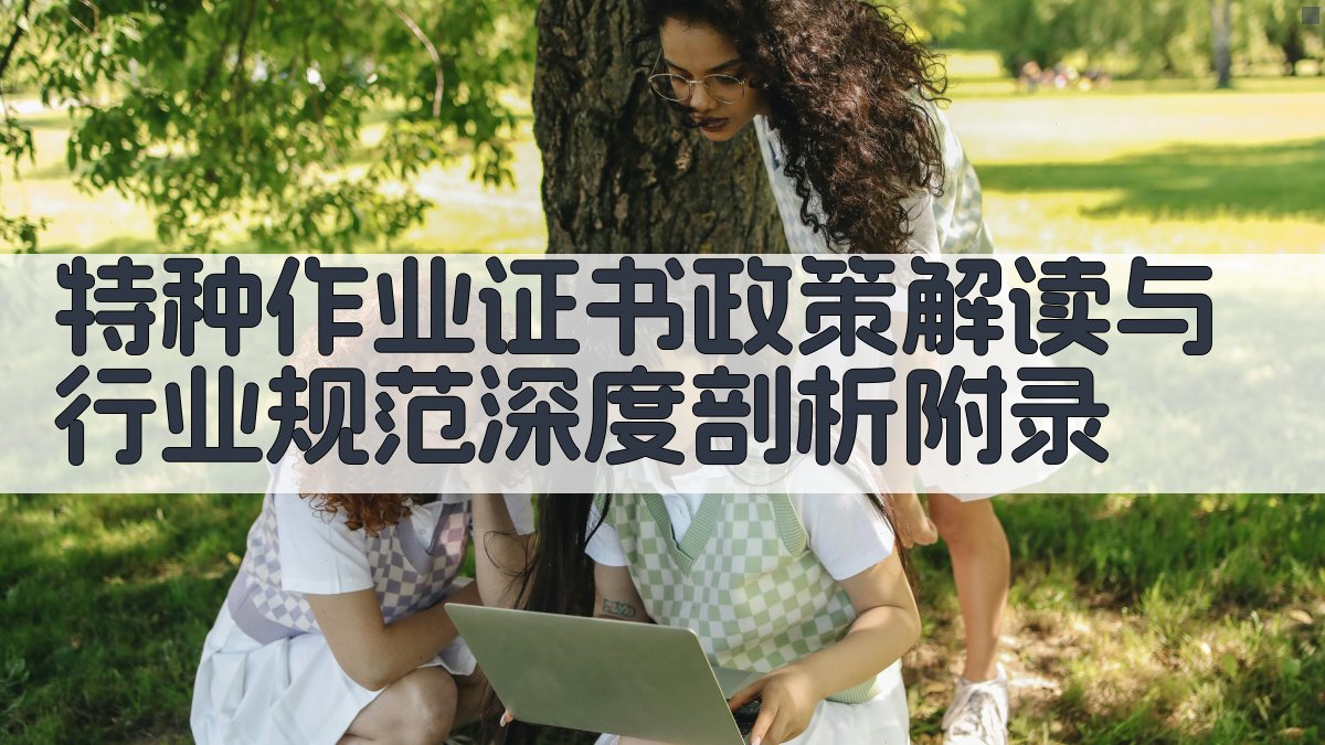 特种作业证书政策解读与行业规范深度剖析 · 附录 图5
