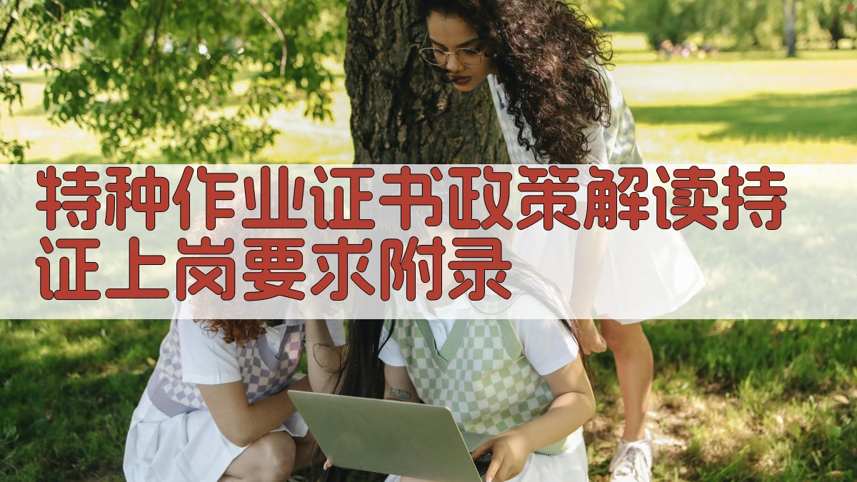 特种作业证书政策解读持证上岗要求 · 附录 图3