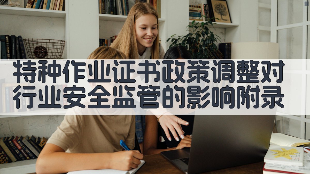特种作业证书政策调整对行业安全监管的影响 · 附录 图3