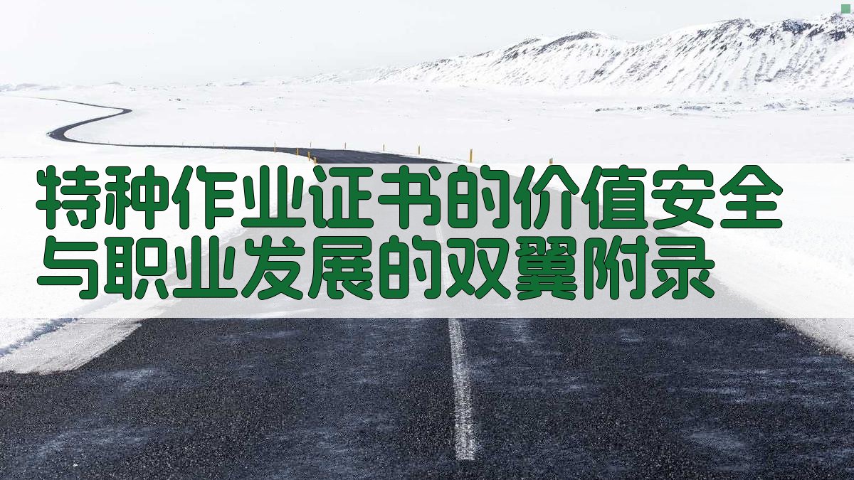 特种作业证书的价值安全与职业发展的双翼 · 附录 图4