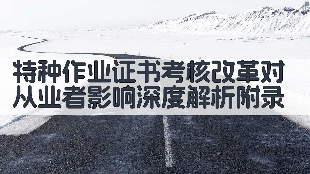特种作业证书考核改革对从业者影响深度解析 · 附录 图3