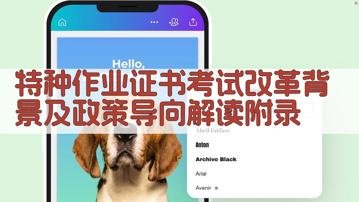 特种作业证书考试改革背景及政策导向解读 · 附录 图5