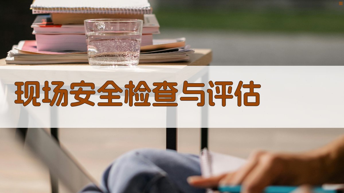 现场安全检查与评估 图3