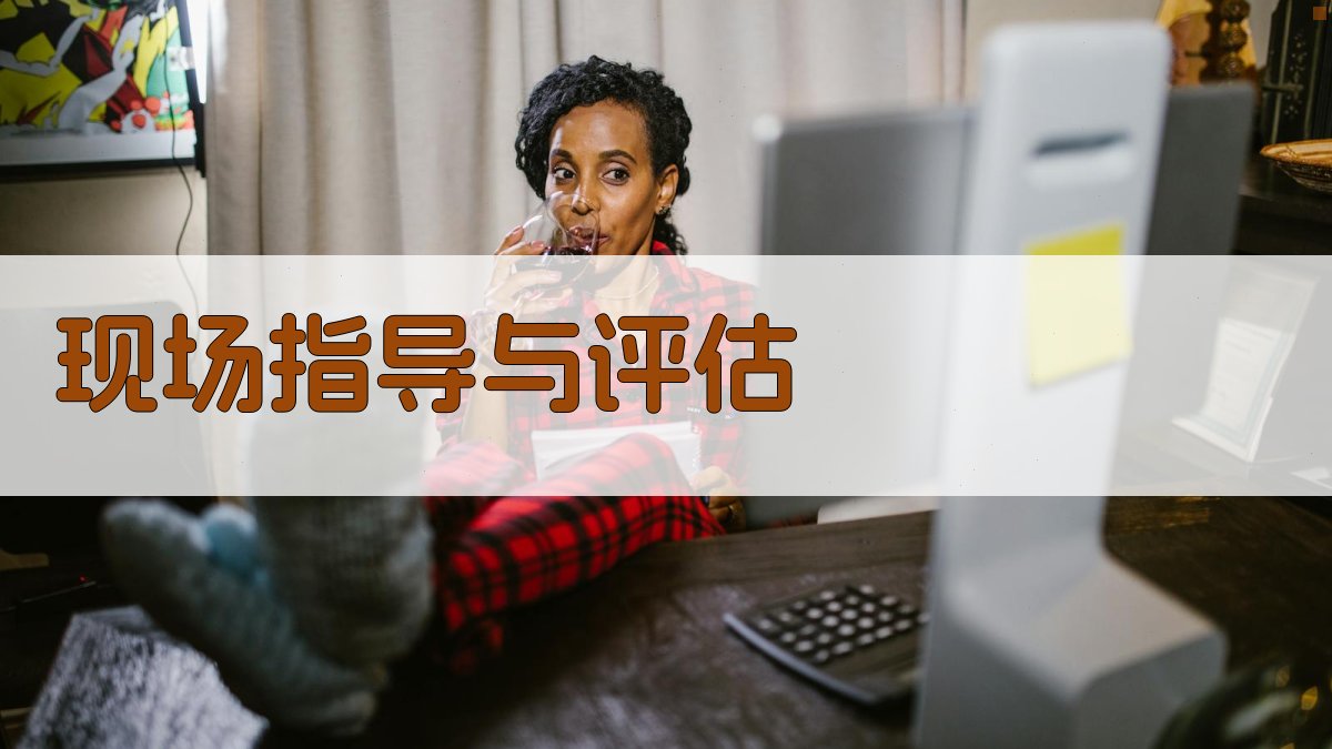 现场指导与评估 图2