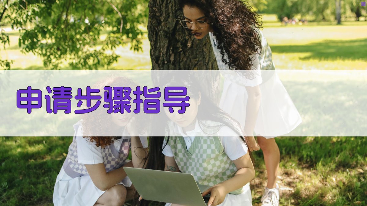 申请步骤指导 图3