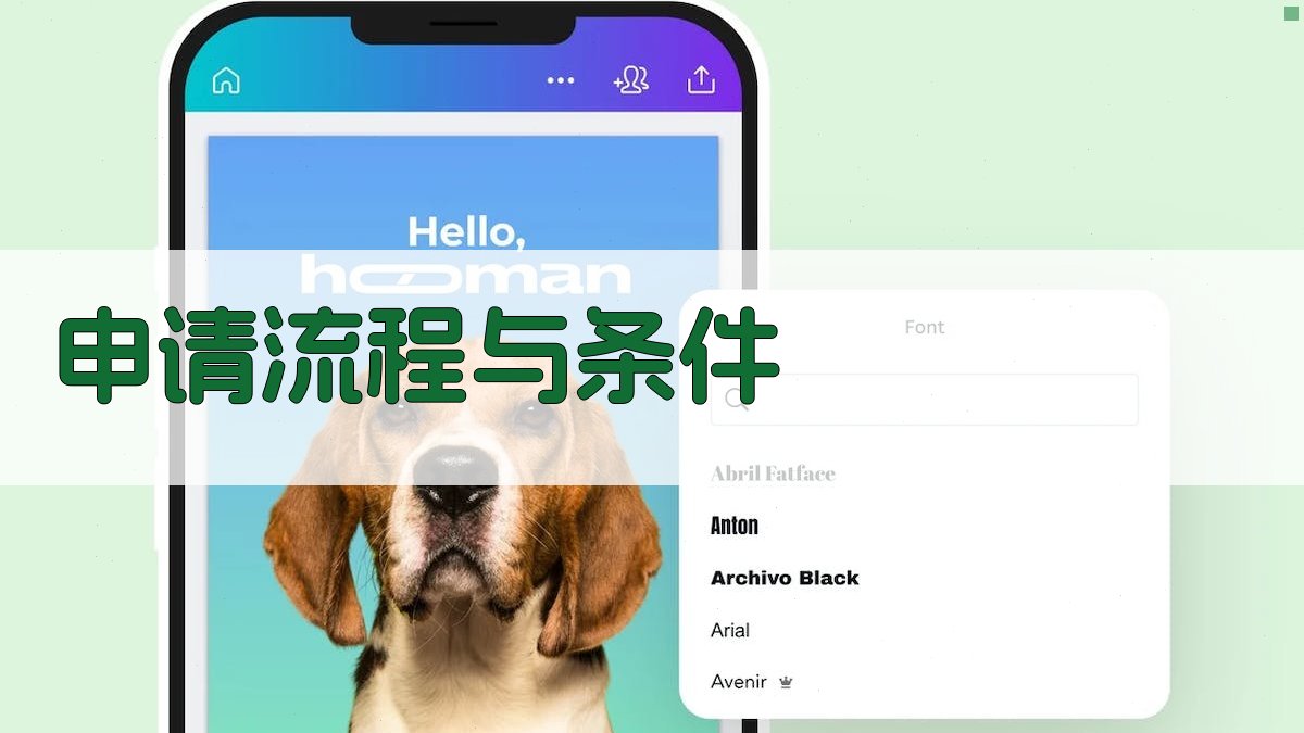 申请流程与条件 图2