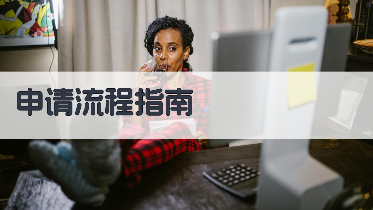 申请流程指南 图3
