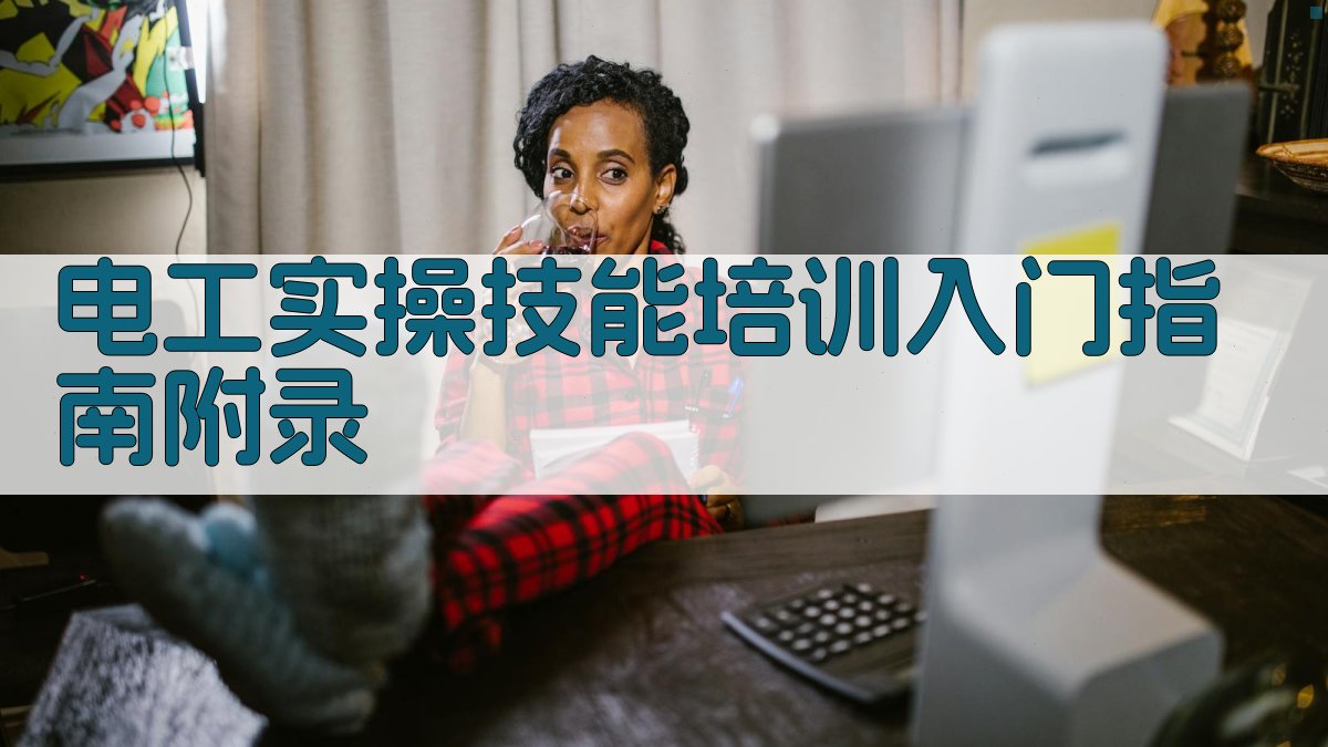 电工实操技能培训入门指南 · 附录 图2