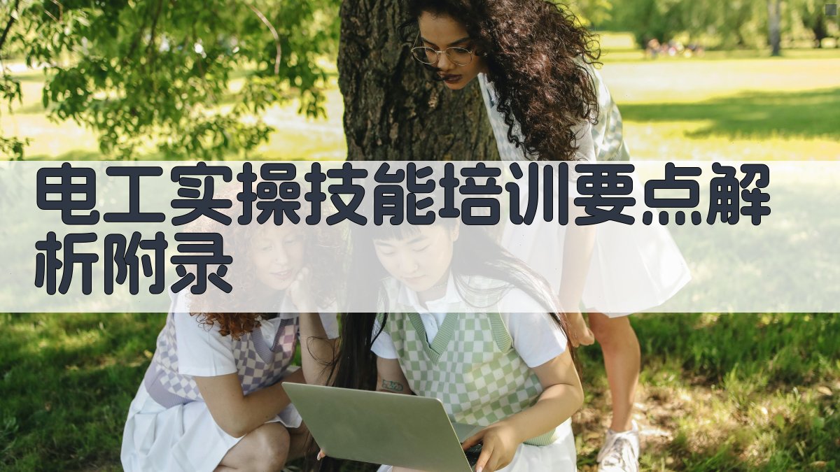 电工实操技能培训要点解析 · 附录 图3
