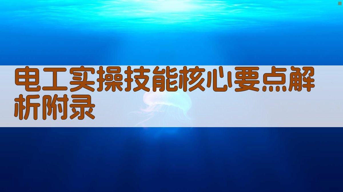 电工实操技能核心要点解析