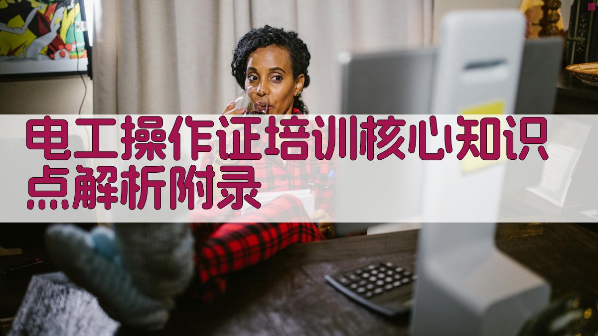 电工操作证培训核心知识点解析 · 附录 图2