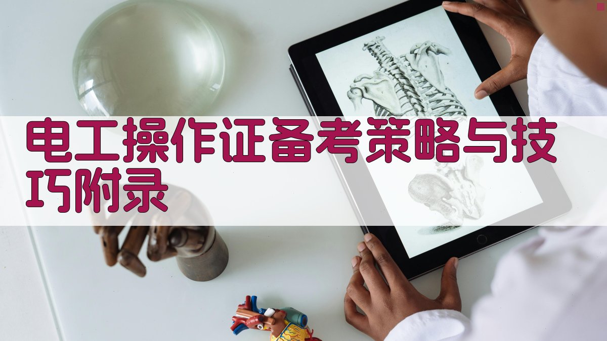 电工操作证备考策略与技巧 · 附录 图4
