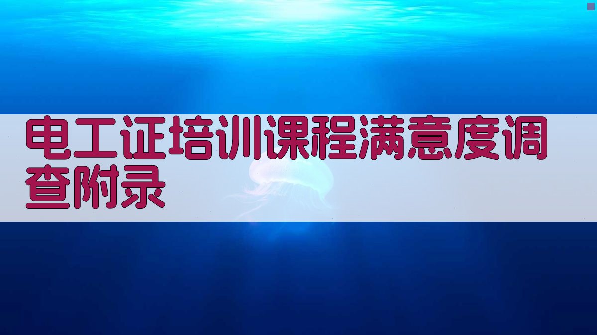 电工证培训课程满意度调查 · 附录 图4