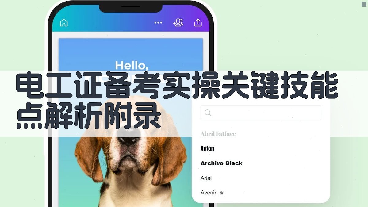 电工证备考实操关键技能点解析 · 附录 图5