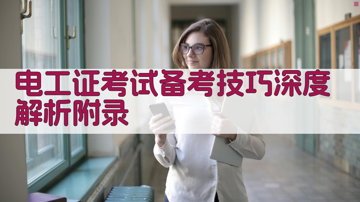 电工证考试备考技巧深度解析 · 附录 图4