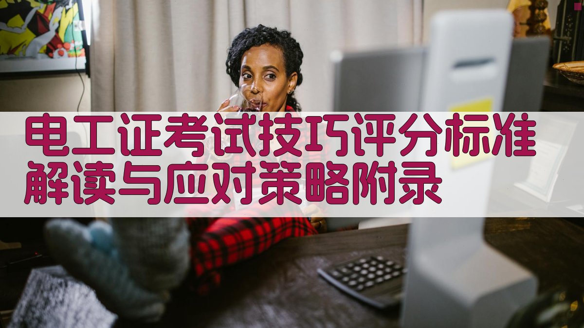 电工证考试技巧评分标准解读与应对策略 · 附录 图5