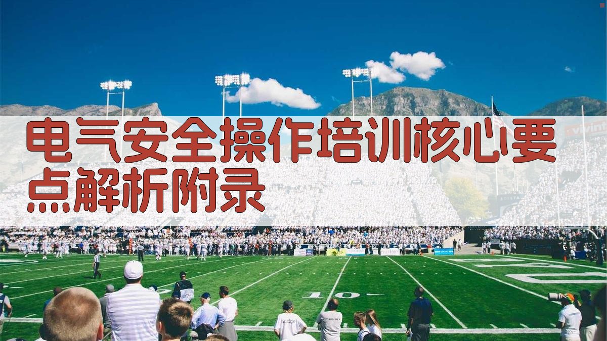 电气安全操作培训核心要点解析 · 附录 图4