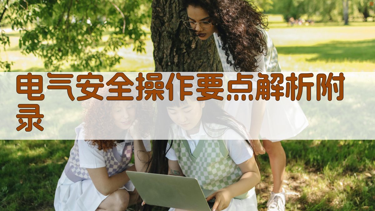 电气安全操作要点解析 · 附录 图5
