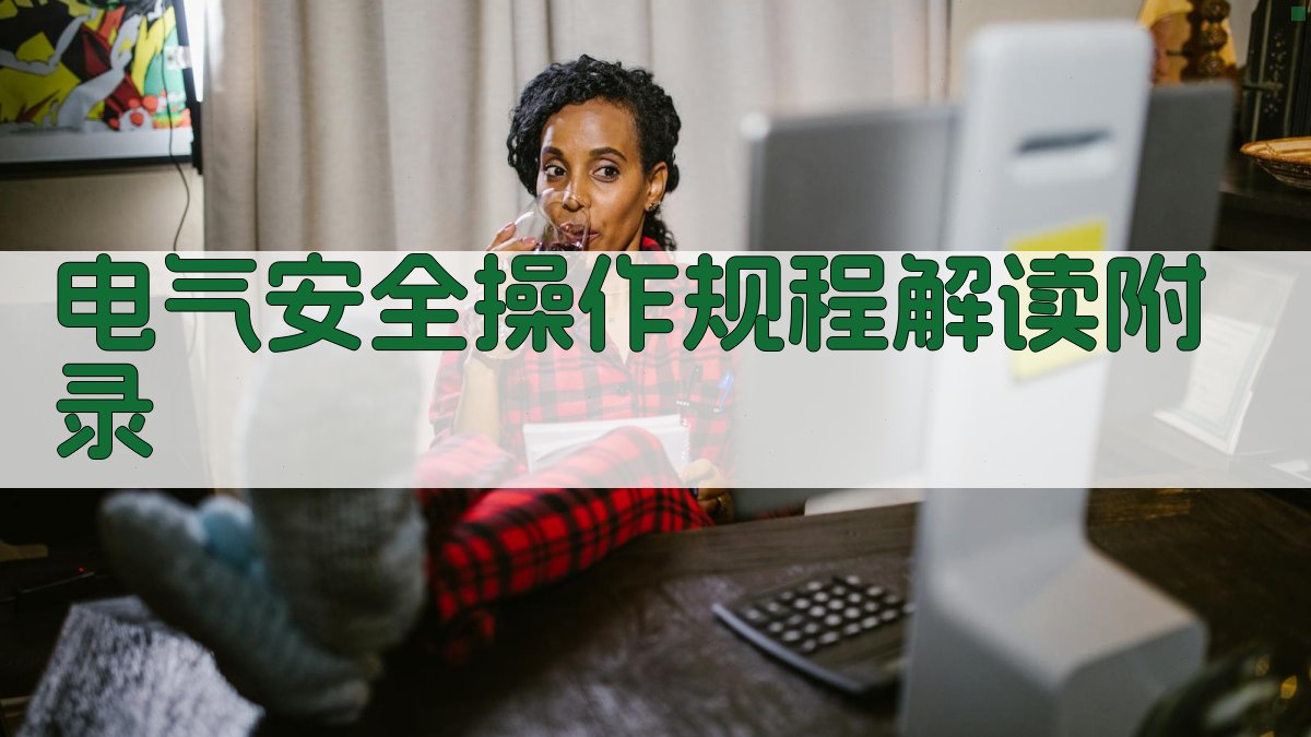 电气安全操作规程解读 · 附录 图4