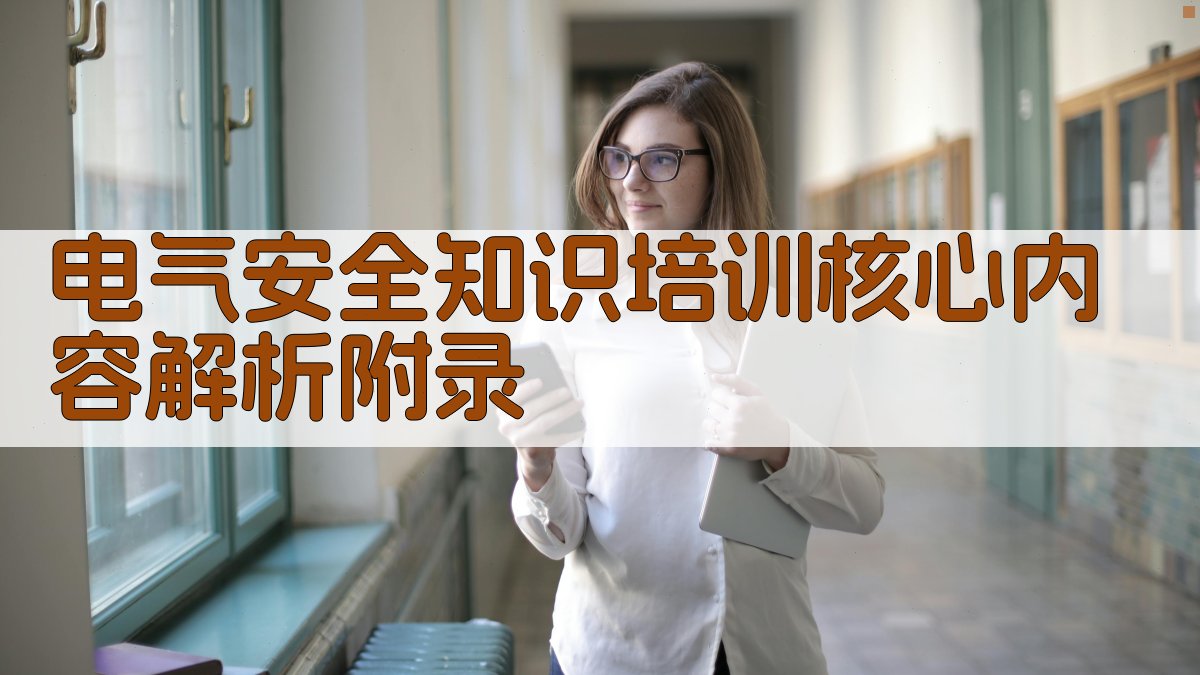 电气安全知识培训核心内容解析 · 附录 图2