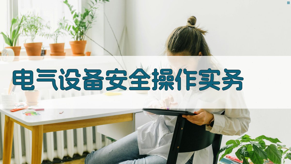 电气设备安全操作实务 图2