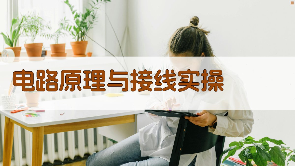 电路原理与接线实操 图2