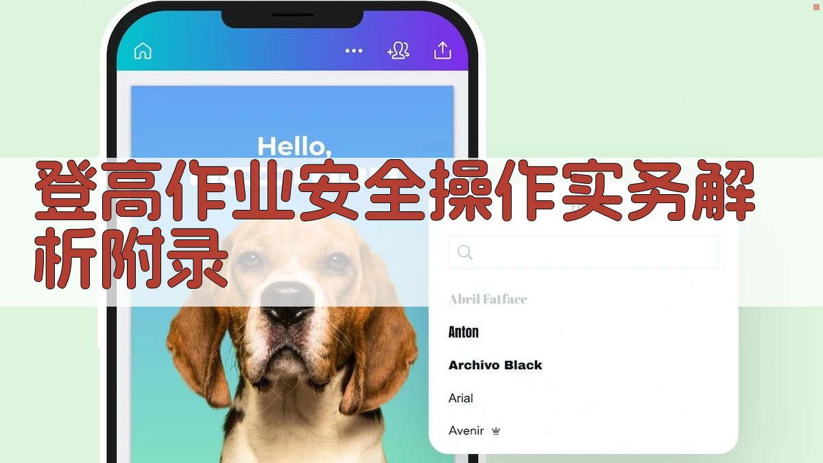 登高作业安全操作实务解析 · 附录 图5