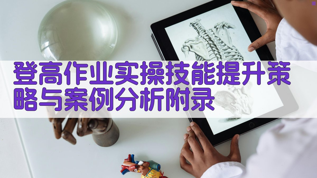 登高作业实操技能提升策略与案例分析 · 附录 图4