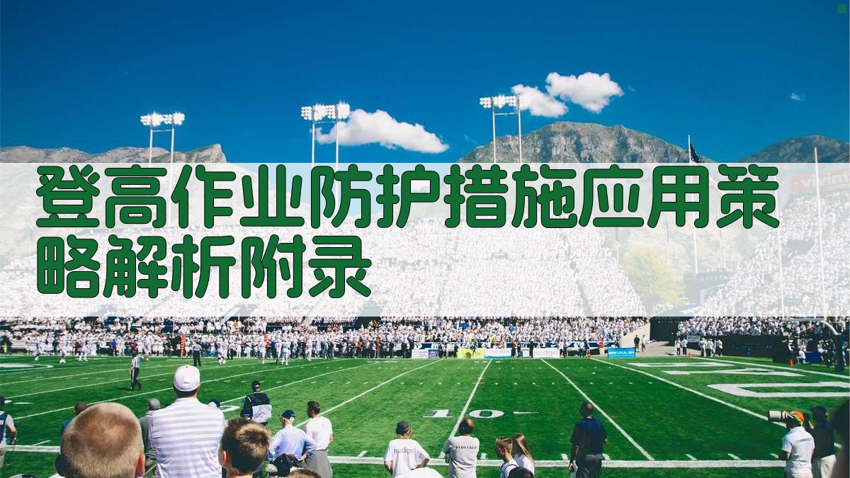 登高作业防护措施应用策略解析 · 附录 图4